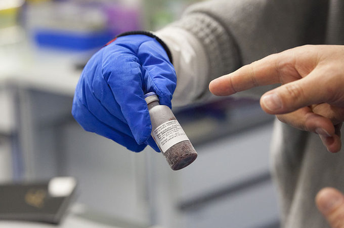 Doping indetectável? Hemoglobina de minhoca no foco da agência antidoping