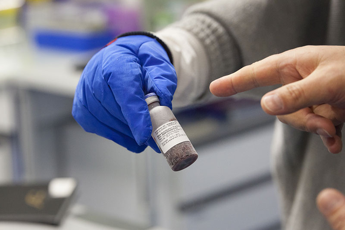 Doping indetectável? Hemoglobina de minhoca no foco da agência antidoping